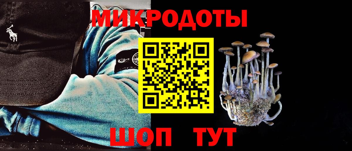 Полевской  Галлюциногенные грибы GOLDEN TEACHER  Псилоцибиновые грибы мицелий  Вход с VPN 